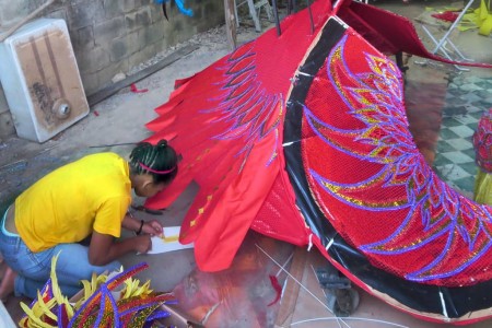 Copyright And Carnival In Focus